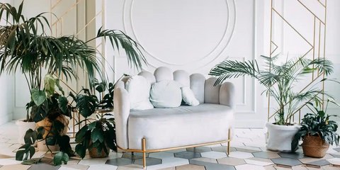 Komfortabler Raum mit großen Pflanzen, einem Sofa und einer weißen Wand mit Stuckleisten.