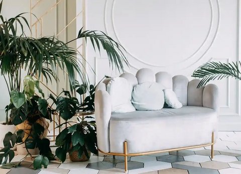 Komfortabler Raum mit großen Pflanzen, einem Sofa und einer weißen Wand mit Stuckleisten.