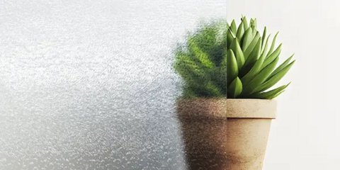 Vergleich der Verglasung: links strukturiertes Chinchilla-Glas, das den Blick auf die Pflanze verzerrt, rechts die Pflanze ohne jegliche Verglasung.