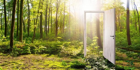 Ein grüner, sonnendurchfluteter Wald mit einer offenen CPL Tür in Holzoptik, durch die man den Wald sehen kann